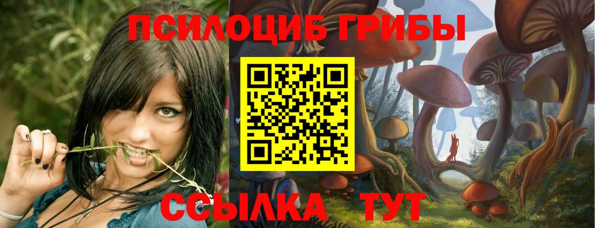 Нерюнгри  Псилоцибиновые грибы Psilocybine cubensis  Вход с VPN 